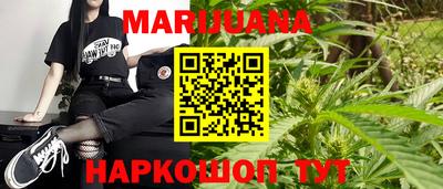 крисы Партизанск
